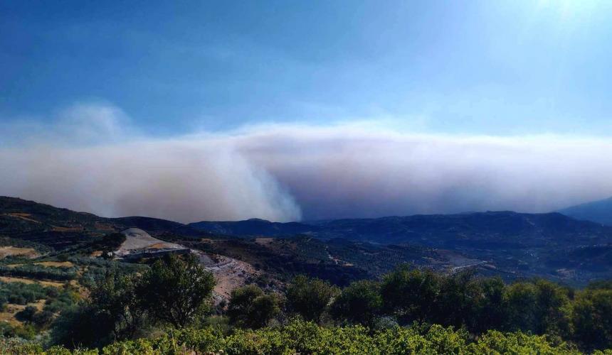 μεσαρα καμπος καπνος απο φωτια